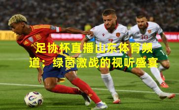 足协杯直播山东体育频道：绿茵激战的视听盛宴